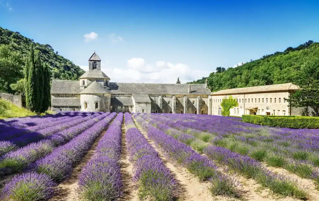 Provence Reise