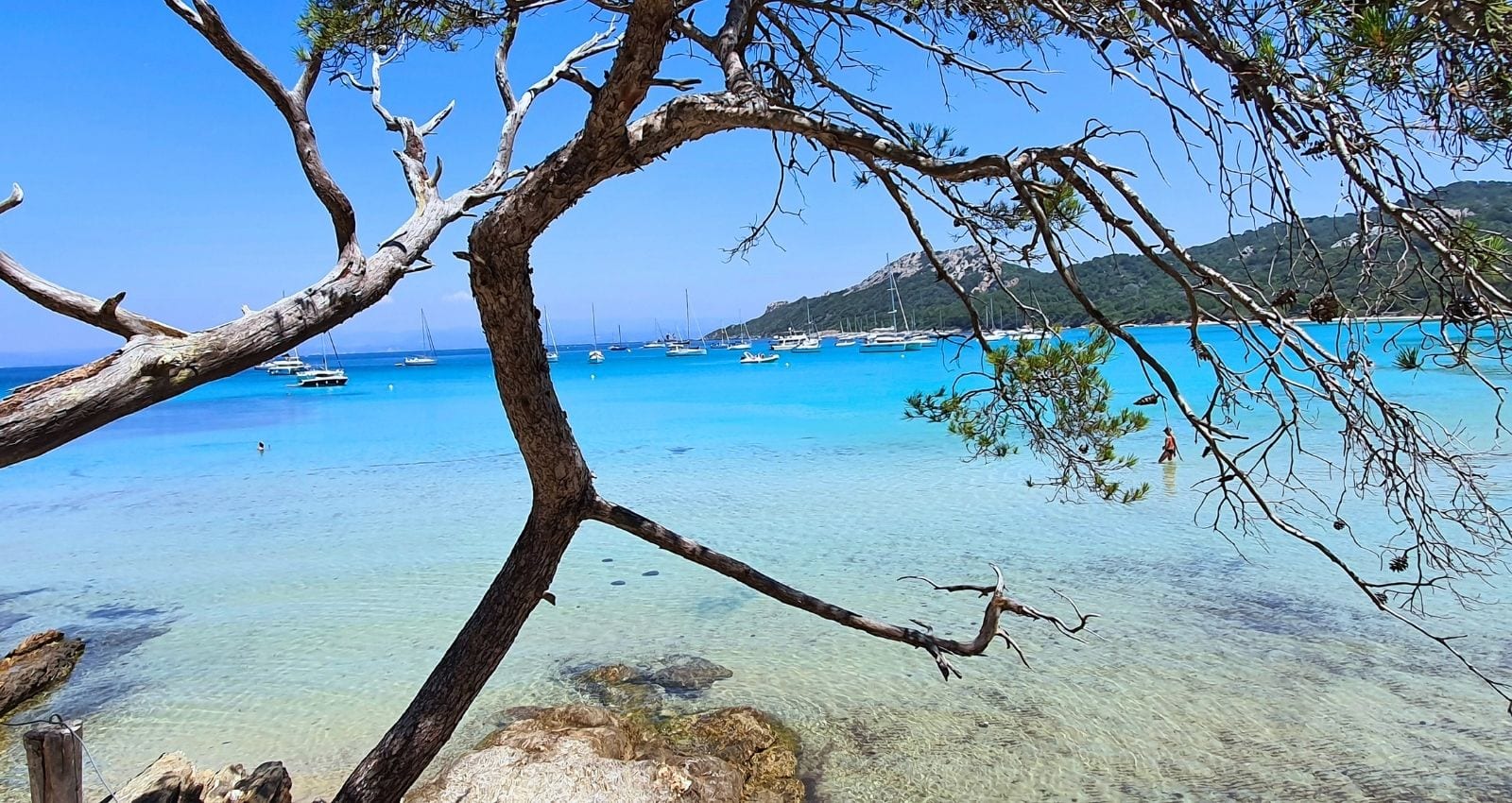 Türkisblaues, klares Meer vor der Insel Porquerolles mit Segelbooten in einer geschützten Bucht, eingerahmt von Pinienästen im Vordergrund.